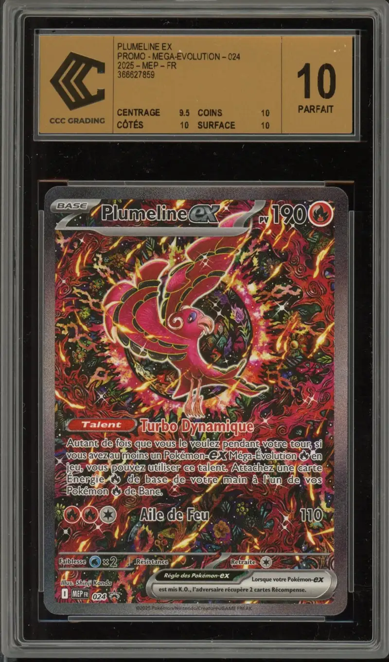 CCC 10 Plumeline Ex