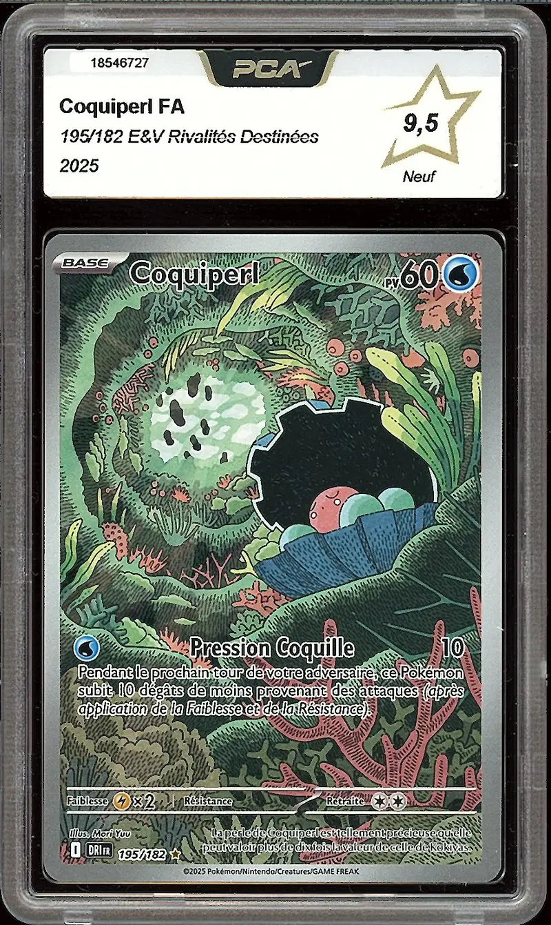 PCA 9.5 Coquiperl