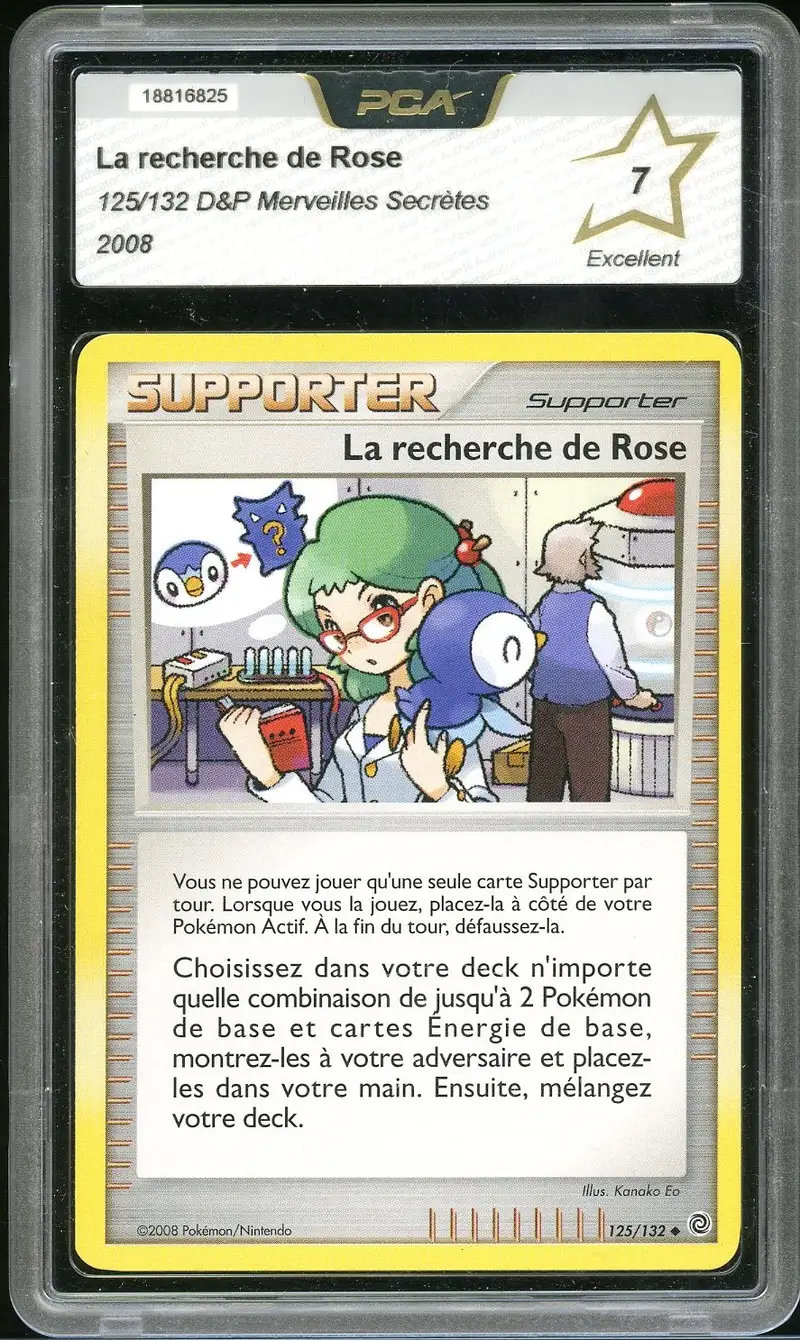 PCA 7 La recherche de Rose