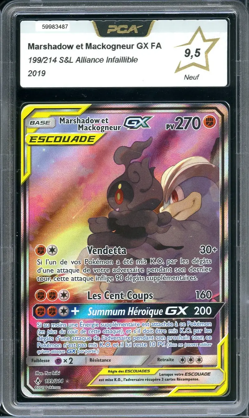 PCA 9.5 Marshadow et Mackogneur Gx