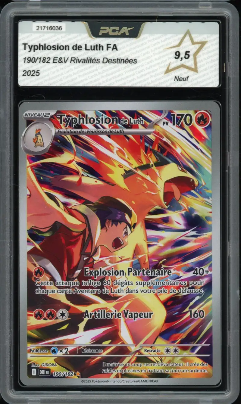 PCA 9.5 Typhlosion de Luth