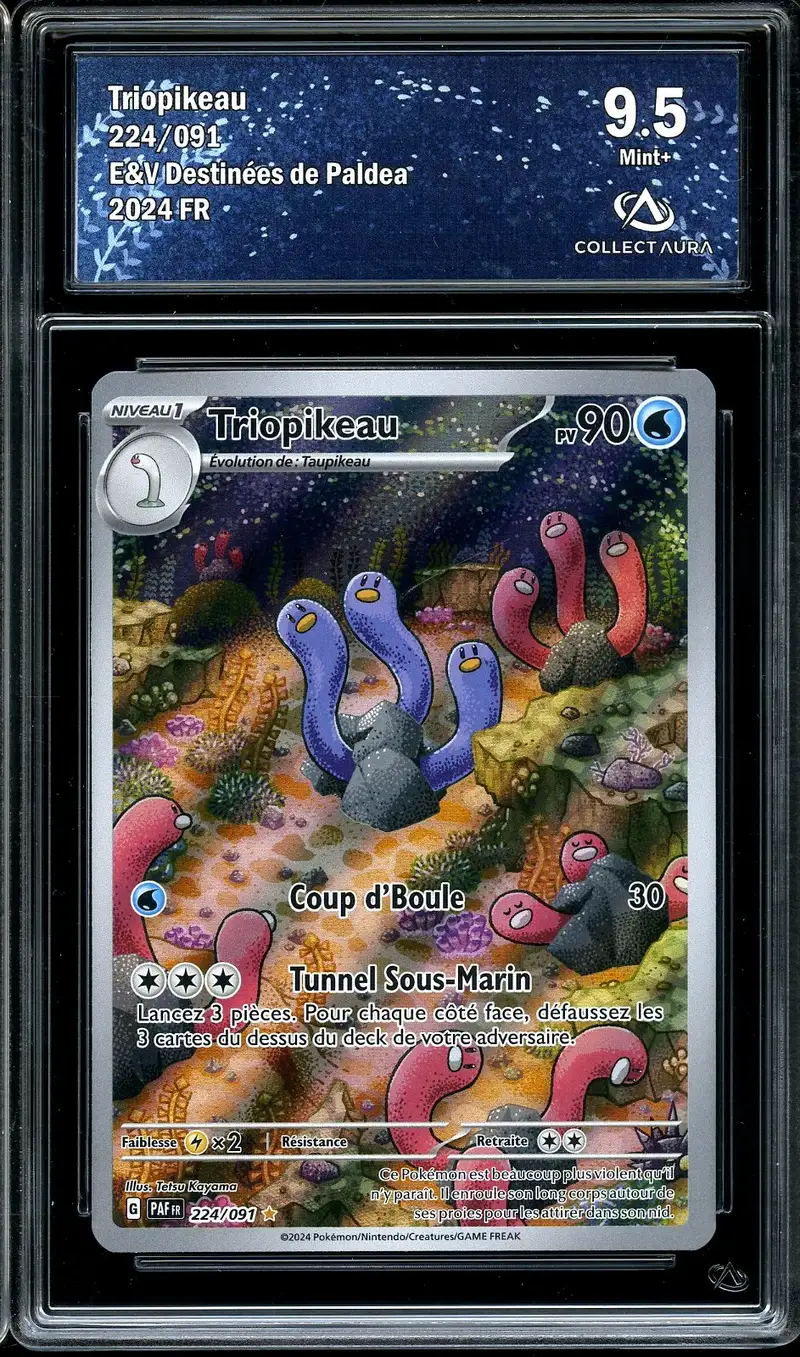 CA 9.5 Triopikeau
