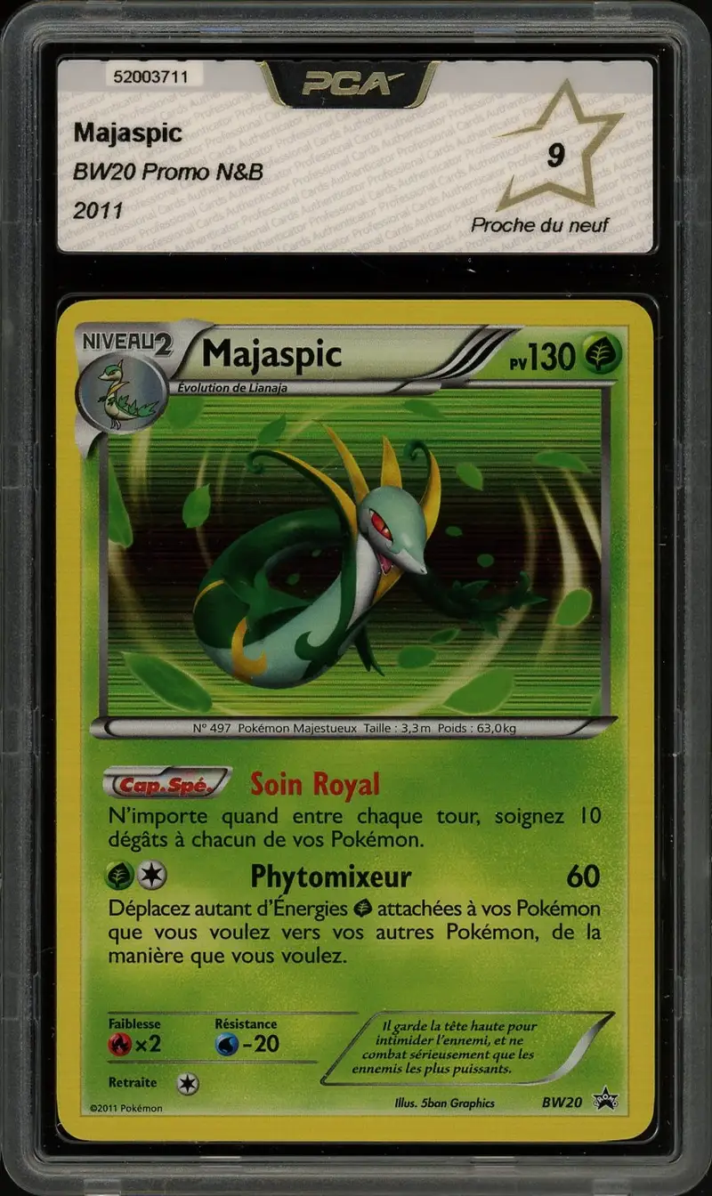 PCA 9 Majaspic Holo
