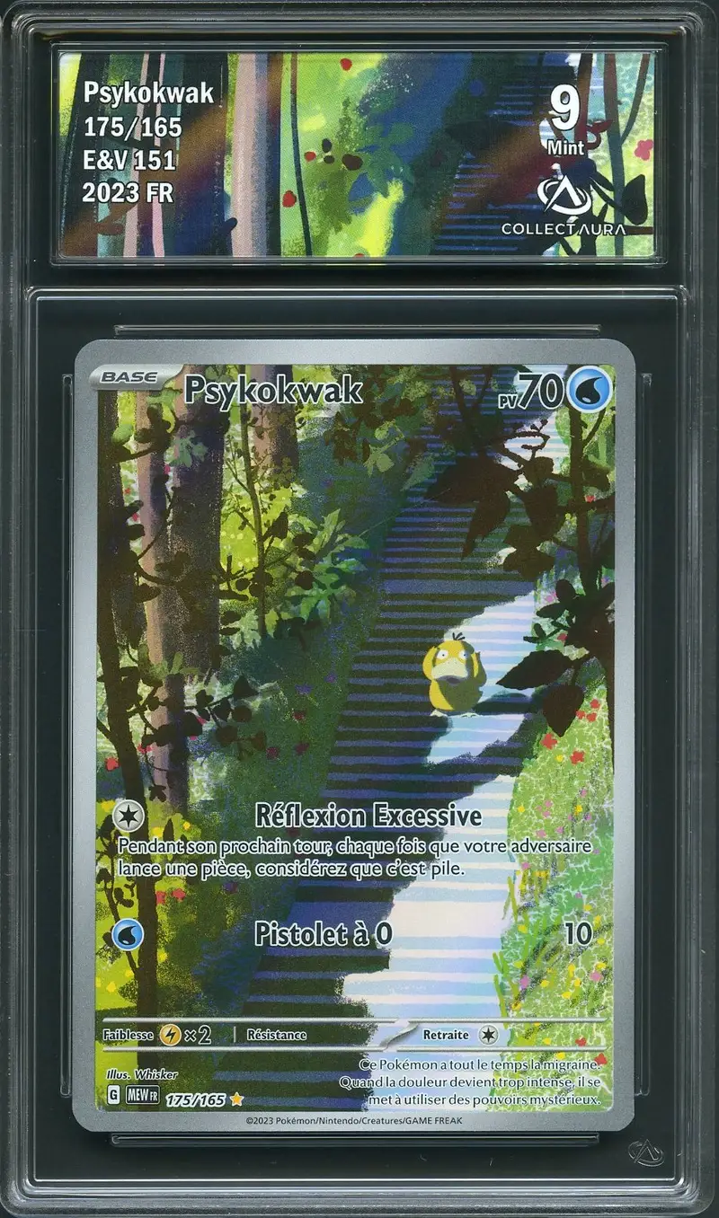 CA 9 Psykokwak