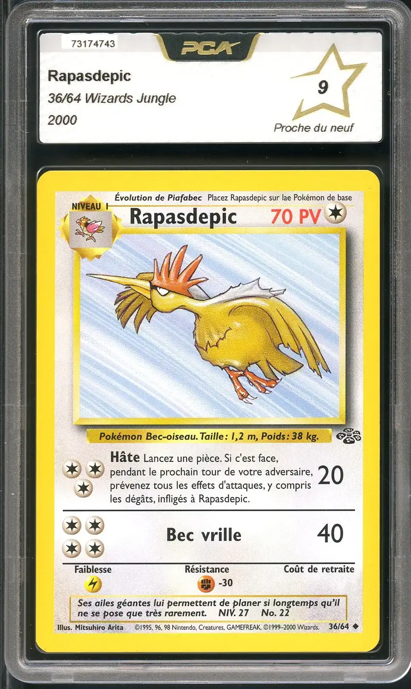 PCA 9 Rapasdepic