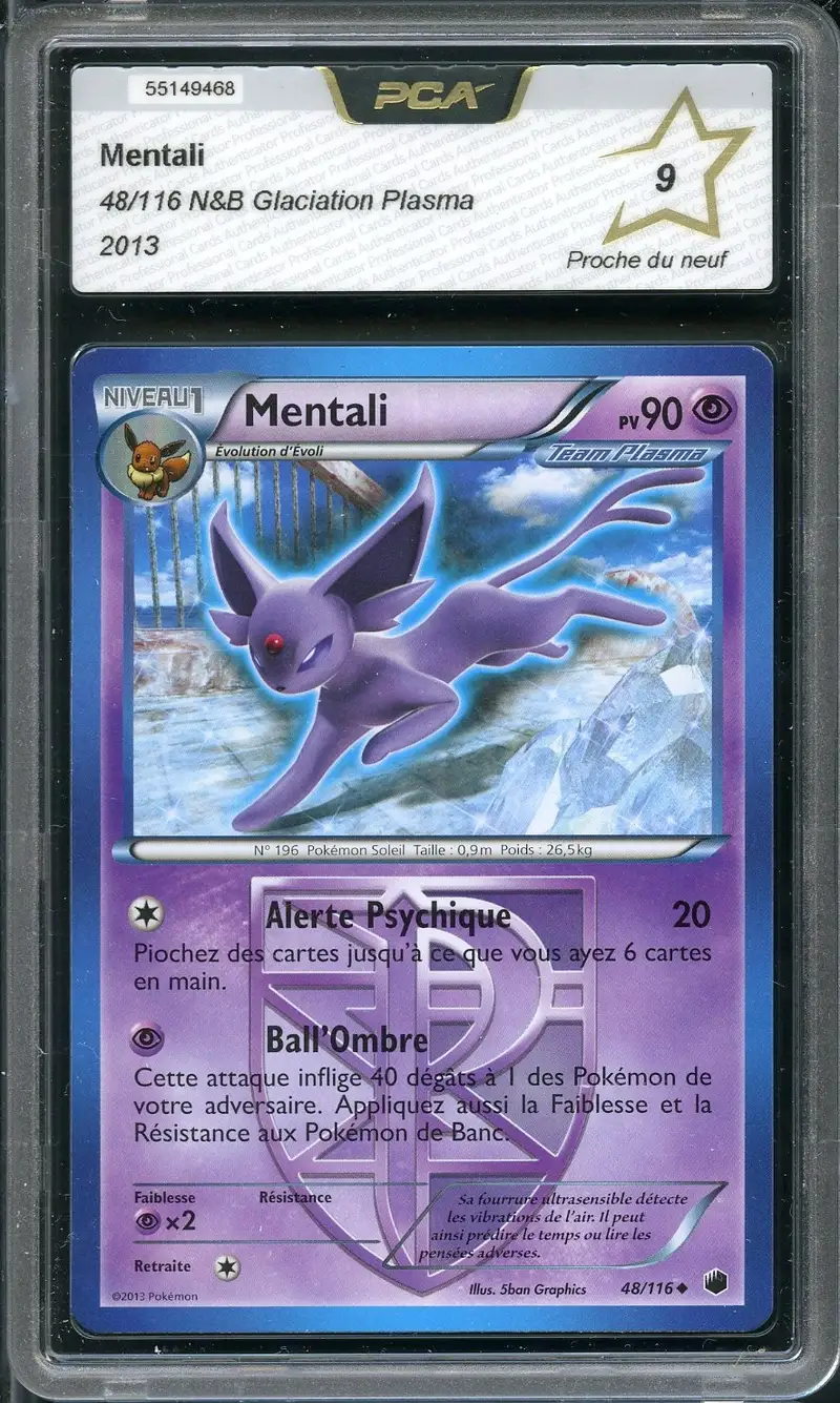 PCA 9 Mentali