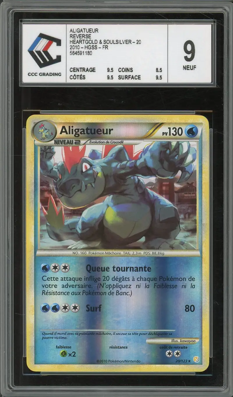 CCC 9 Aligatueur Reverse