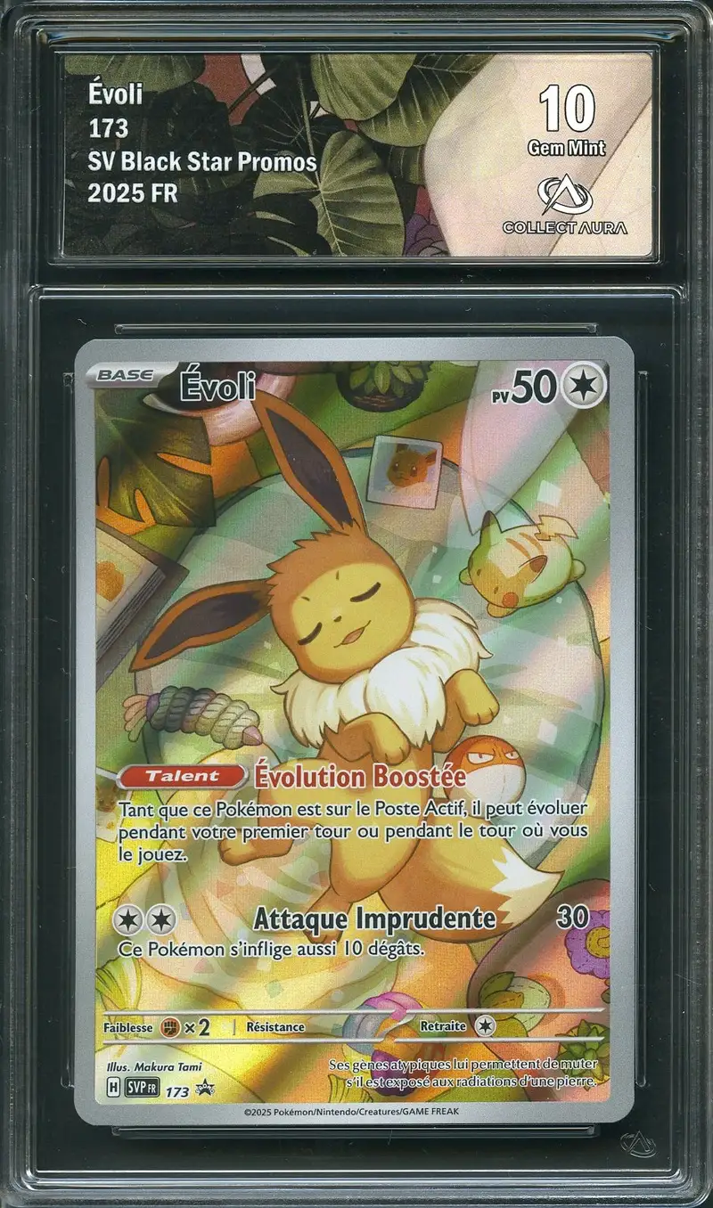 CA 10 Evoli
