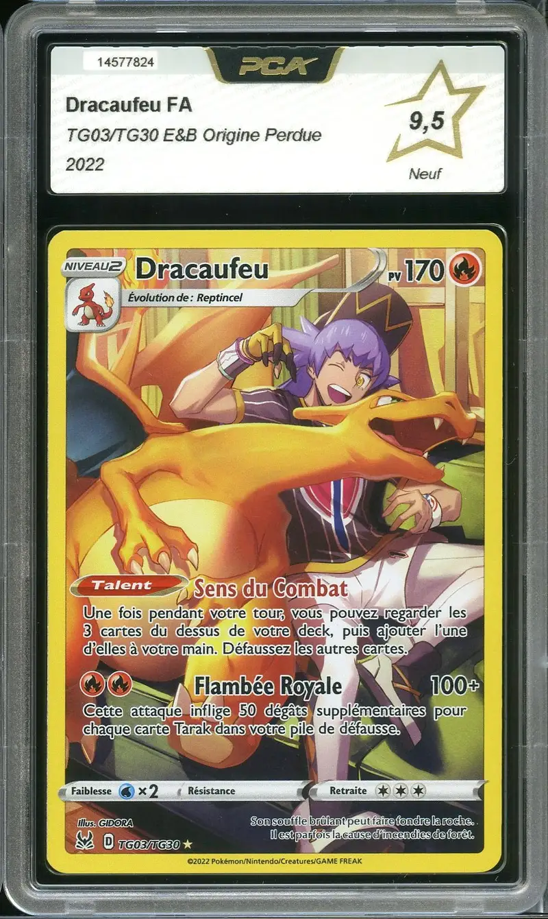PCA 9.5 Dracaufeu