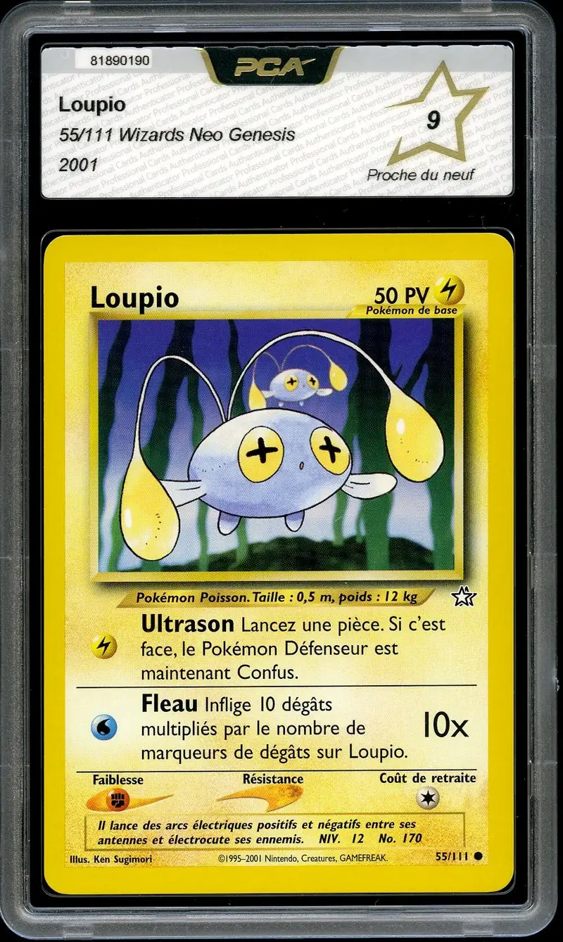 PCA 9 Loupio