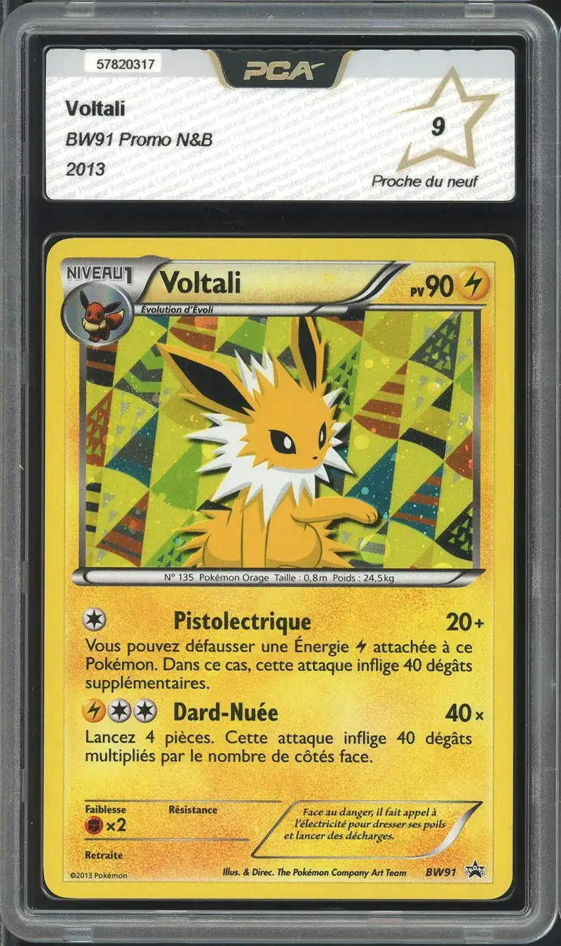 PCA 9 Voltali Holo