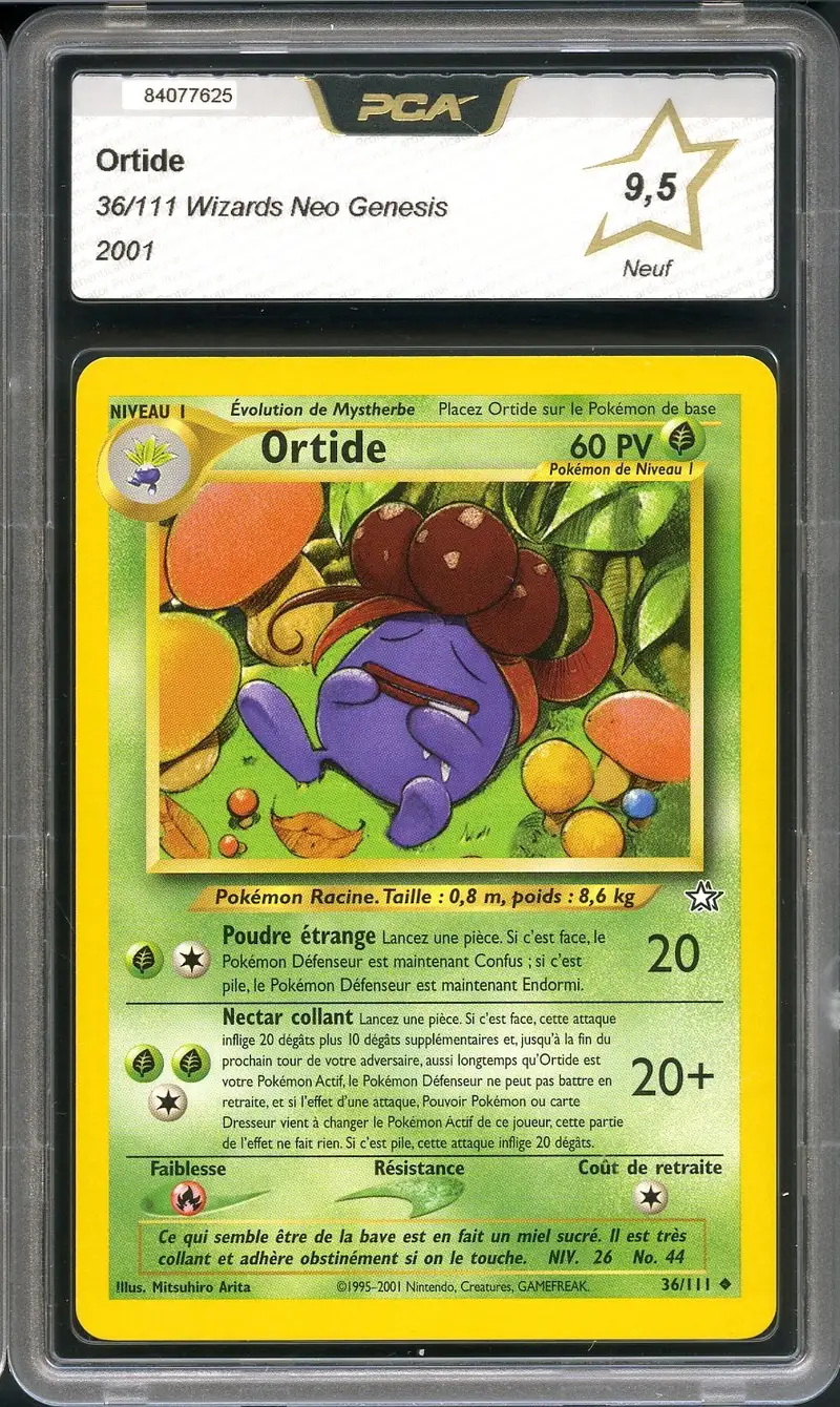 PCA 9.5 Ortide