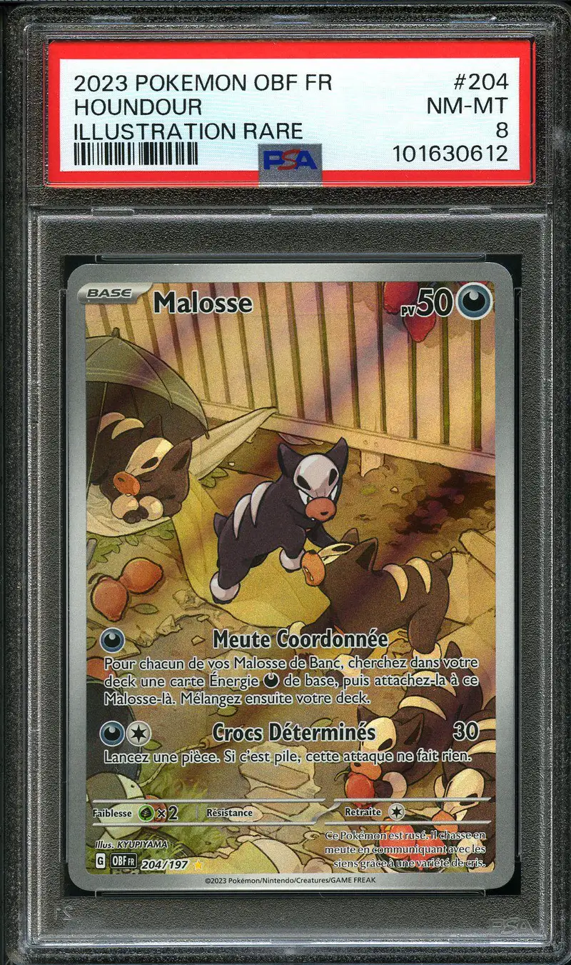 PSA 8 Malosse