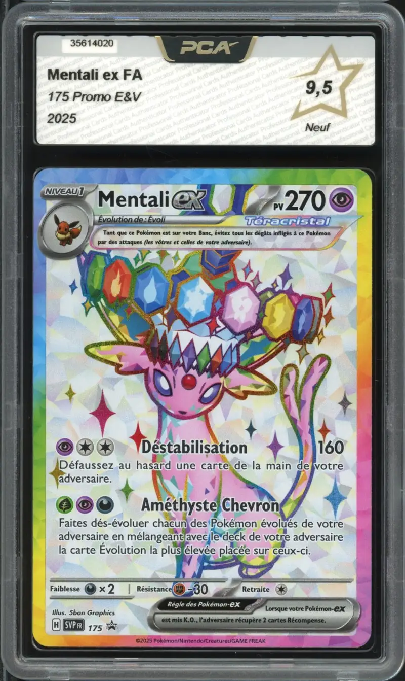 PCA 9.5 Mentali Ex