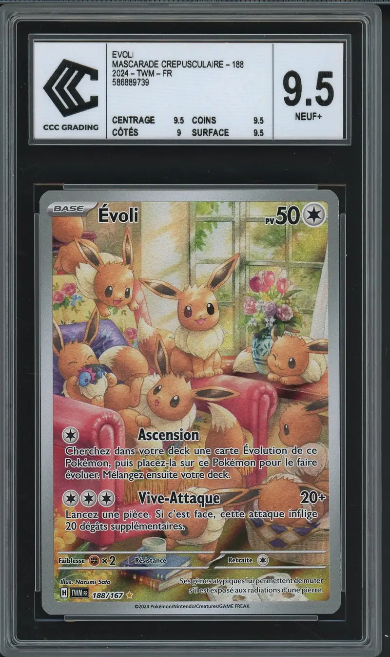 CCC 9.5 Evoli
