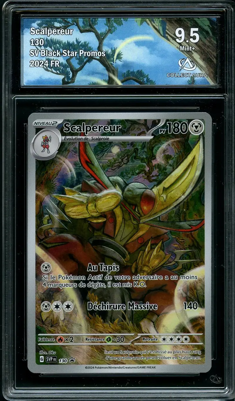 CA 9.5 Scalpereur