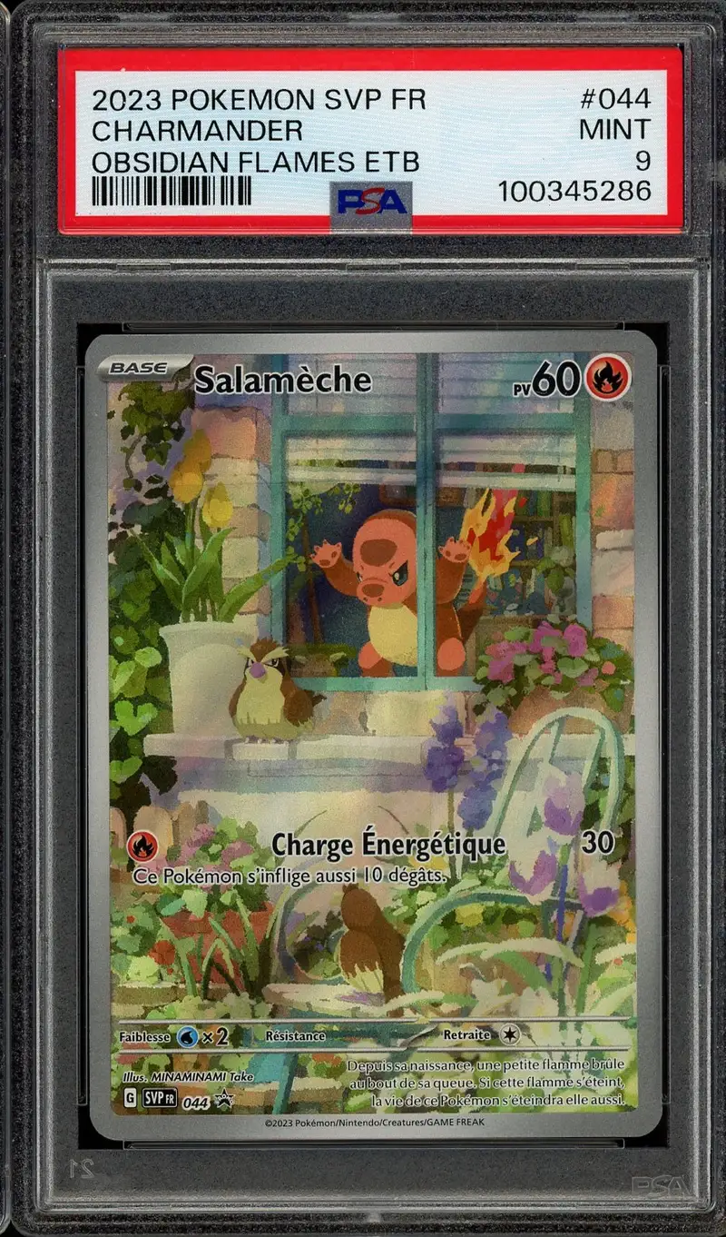 PSA 9 Salamèche