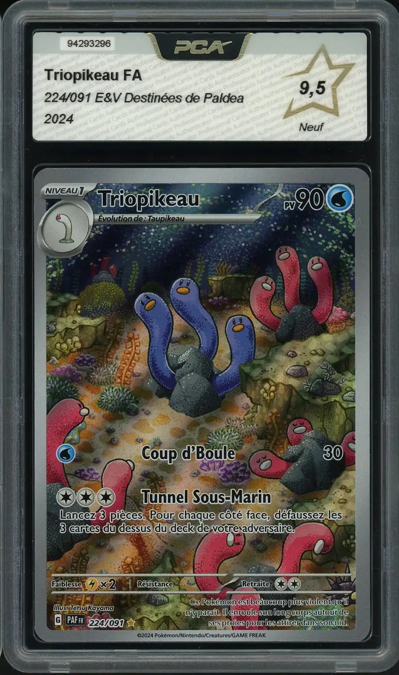 PCA 9.5 Triopikeau