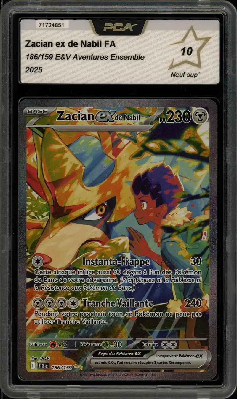 PCA 10 Zacian Ex de Nabil