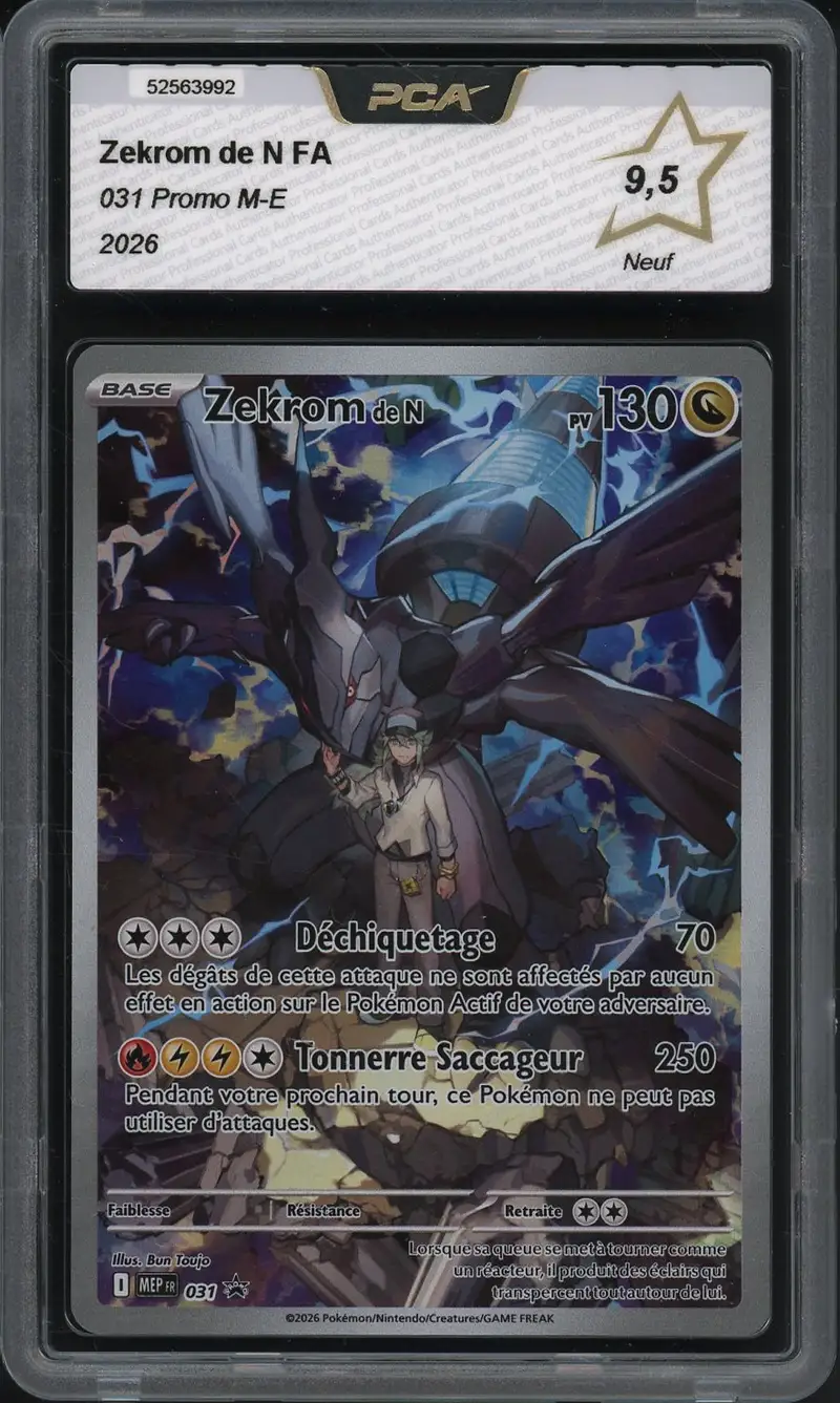 PCA 9.5 Zekrom de N