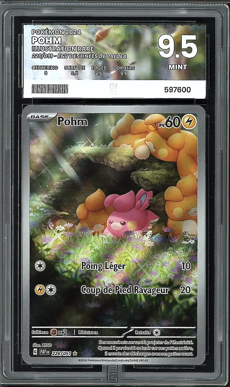 PG 9.5 Pohm