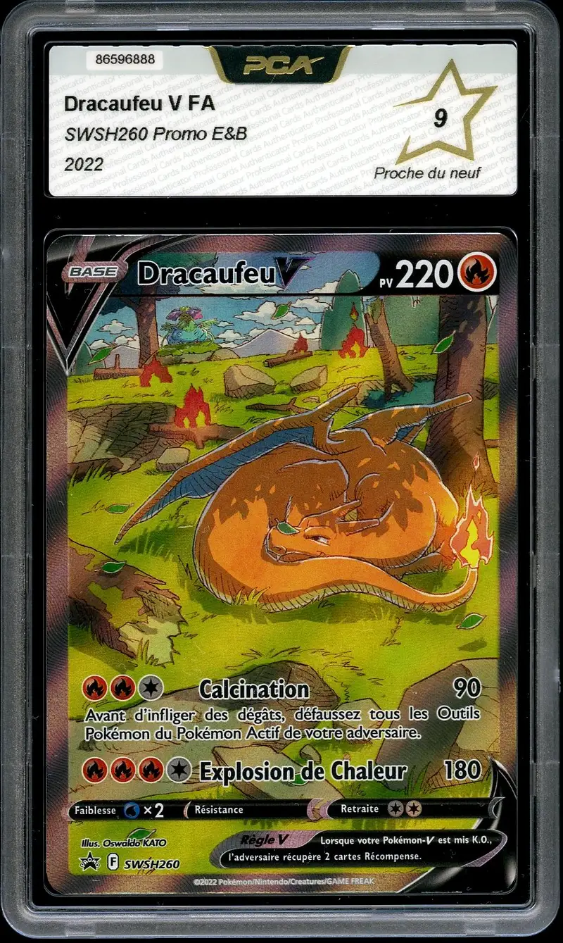 PCA 9 Dracaufeu V