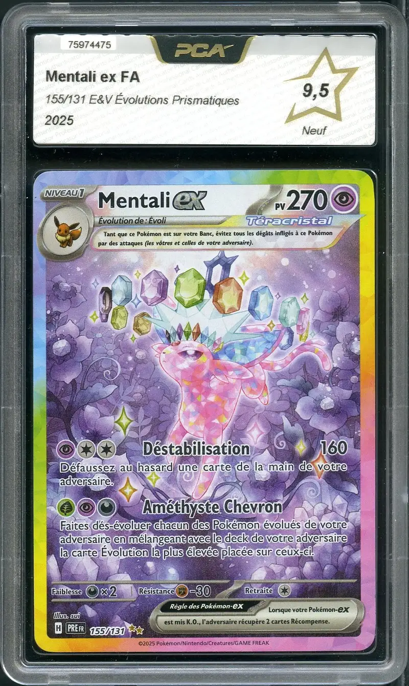 PCA 9.5 Mentali Ex