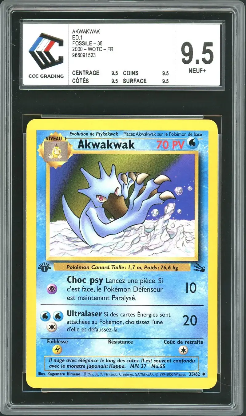 CCC 9.5 Akwakwak