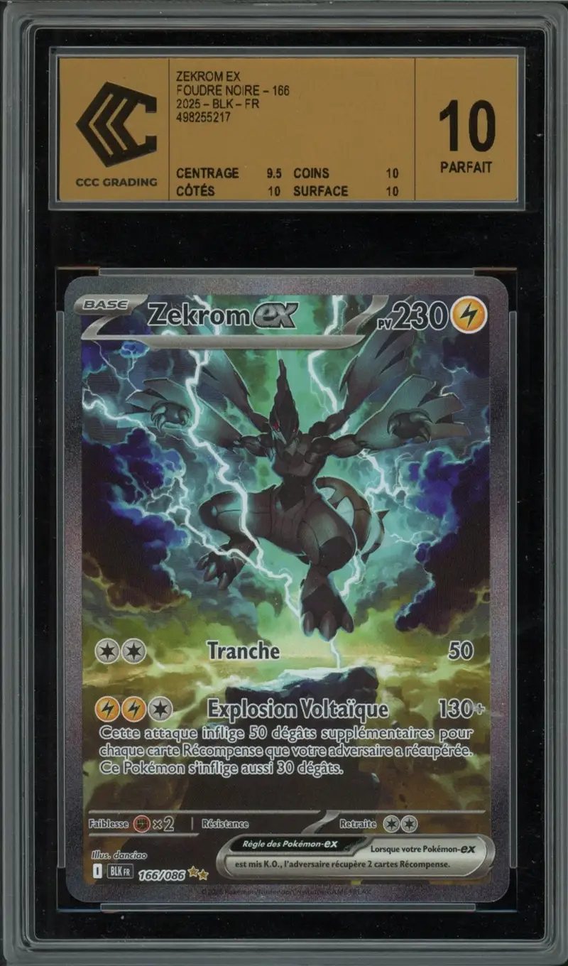 CCC 10 Zekrom Ex