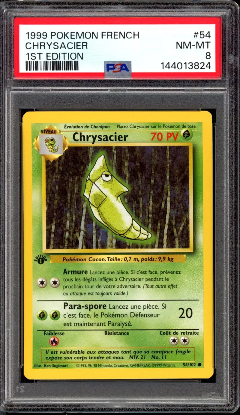 PSA 8 Chrysacier