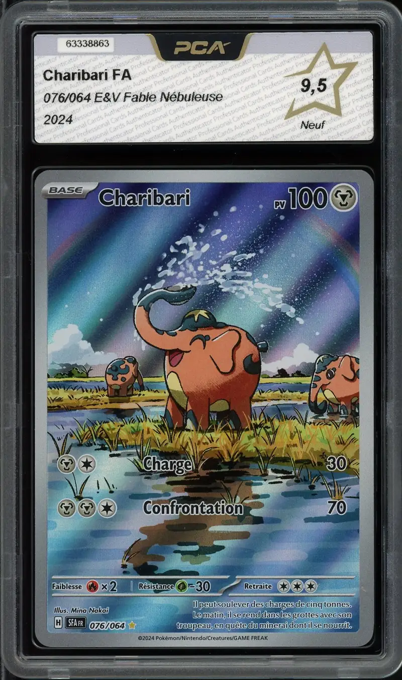 PCA 9.5 Charibari