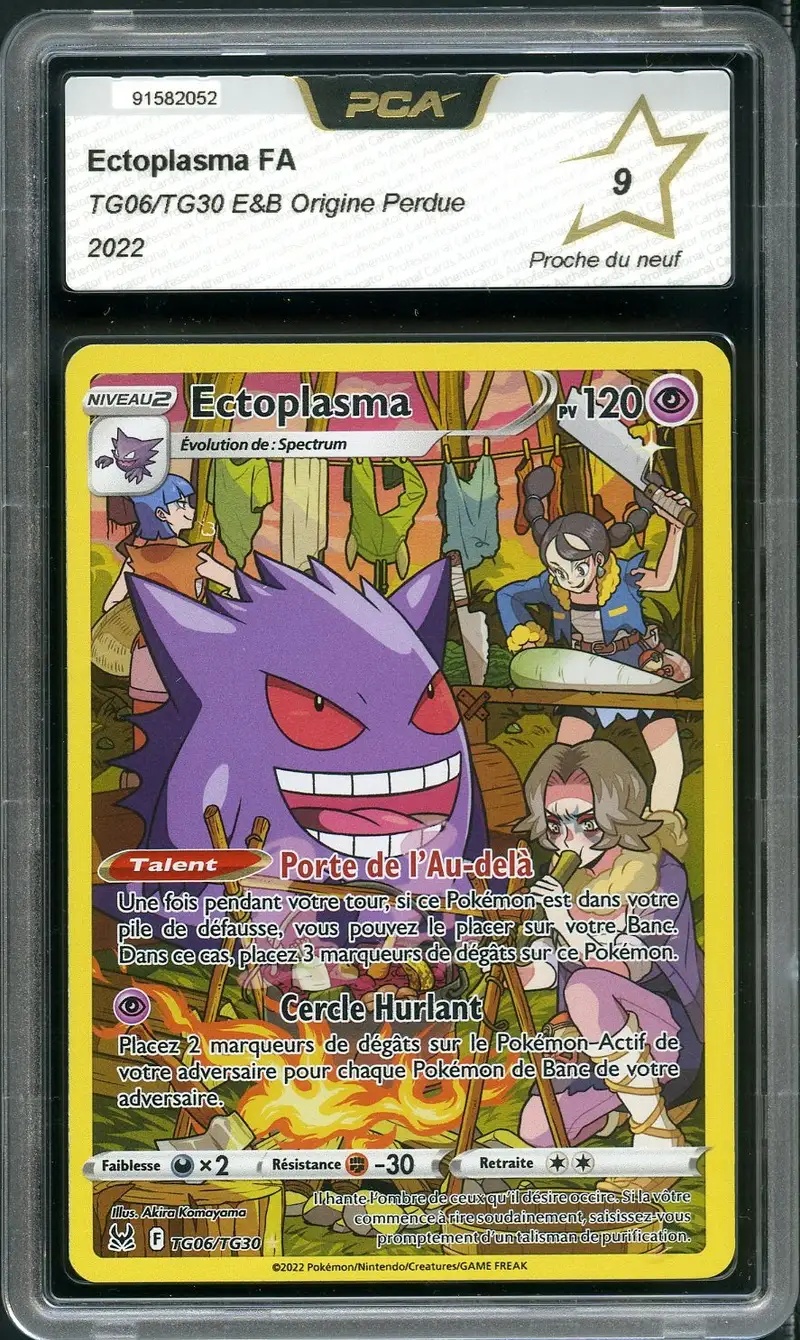 PCA 9 Ectoplasma