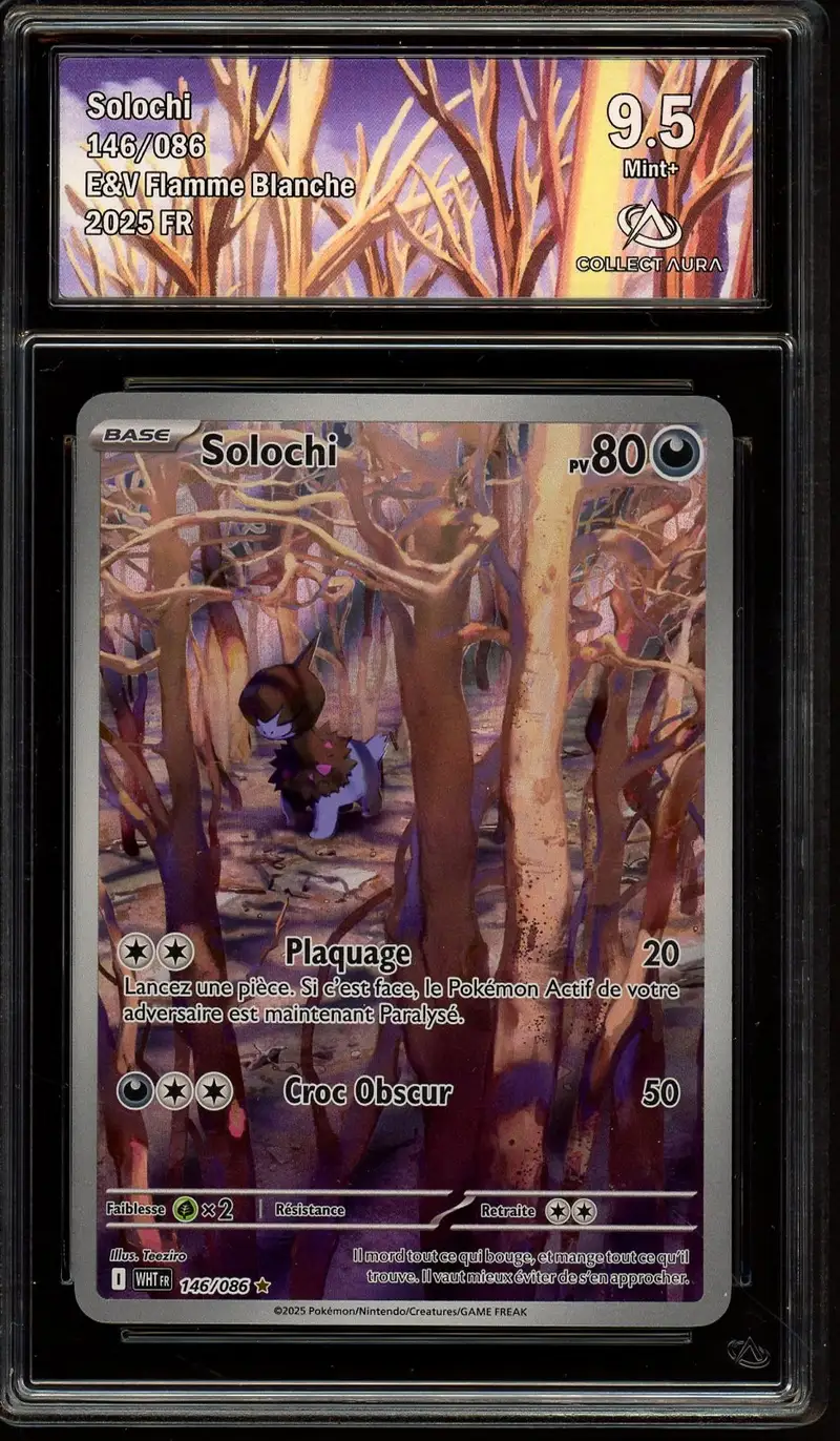 CA 9.5 Solochi