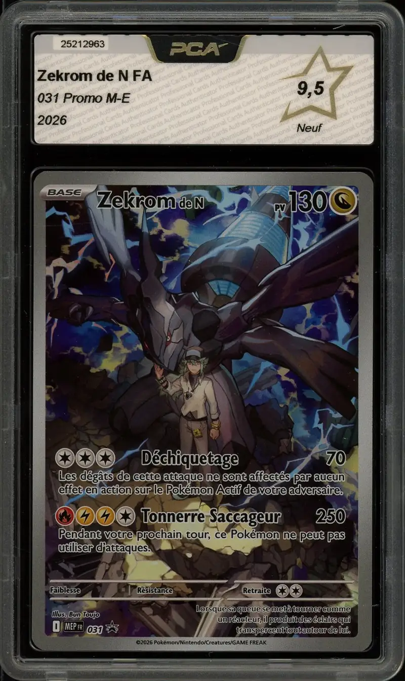PCA 9.5 Zekrom de N