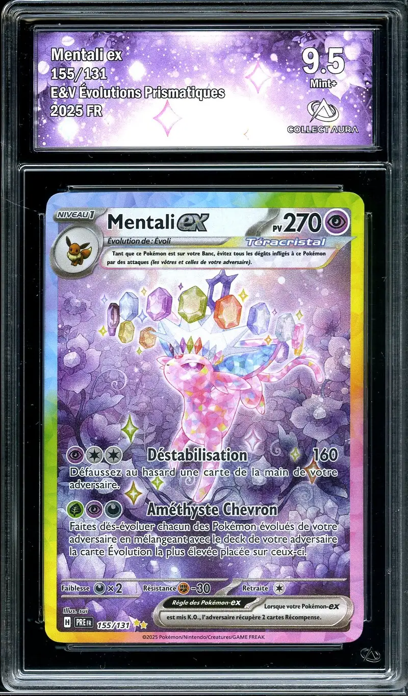 CA 9.5 Mentali Ex