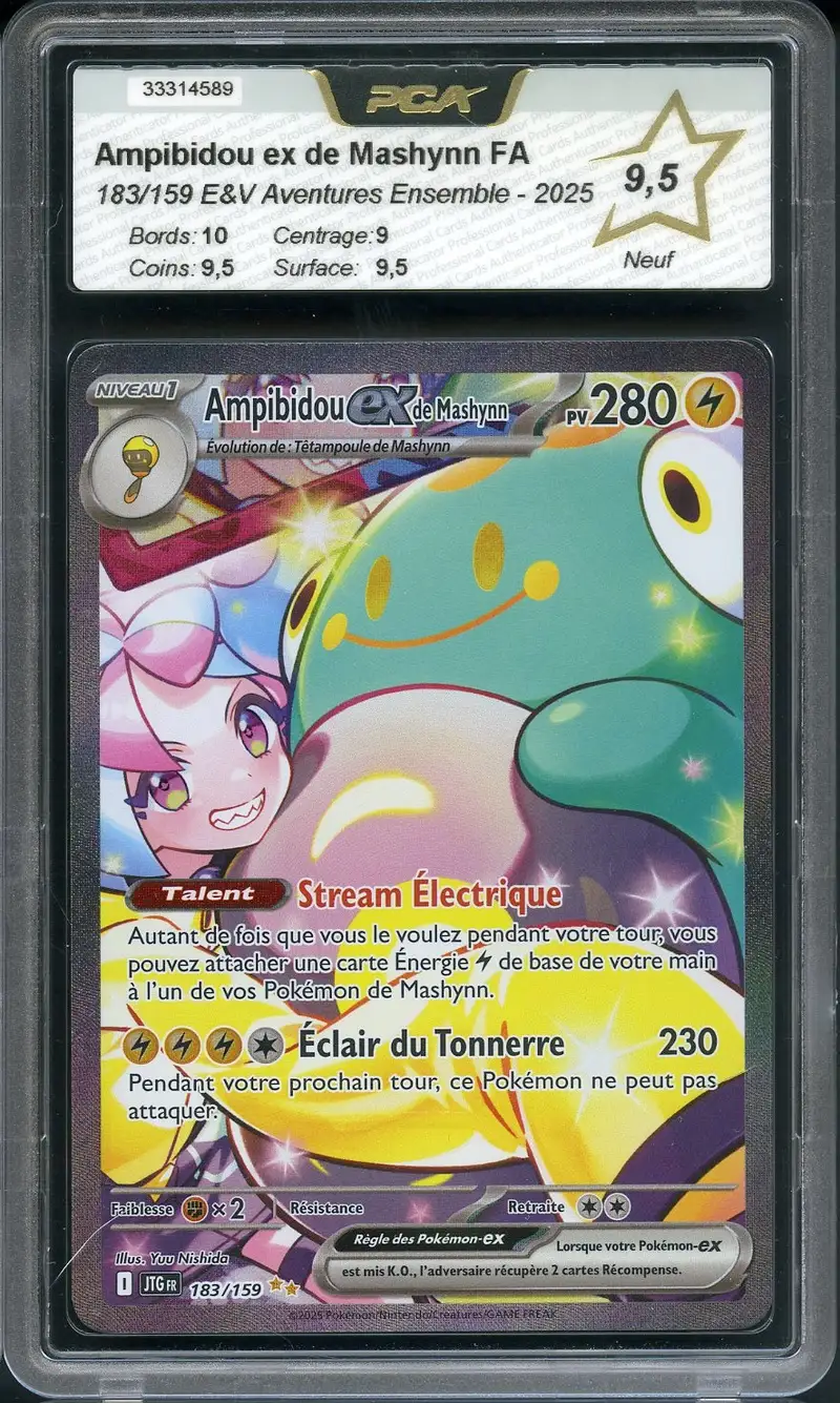PCA 9.5 Ampibidou Ex de Mashynn