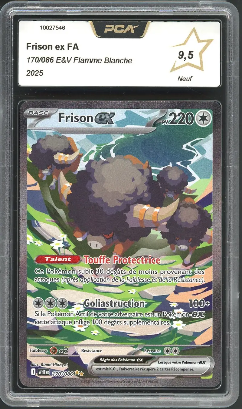 PCA 9.5 Frison Ex