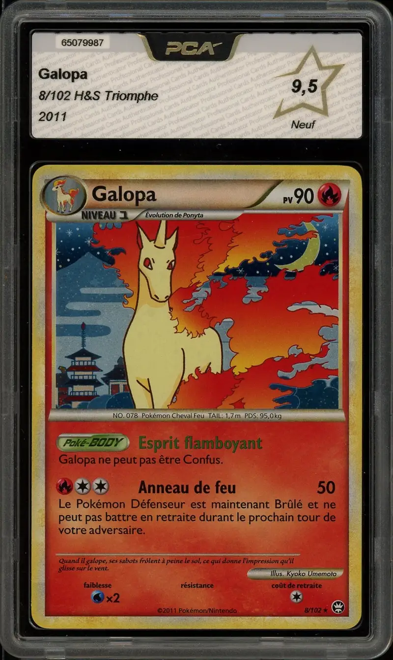 PCA 9.5 Galopa Holo