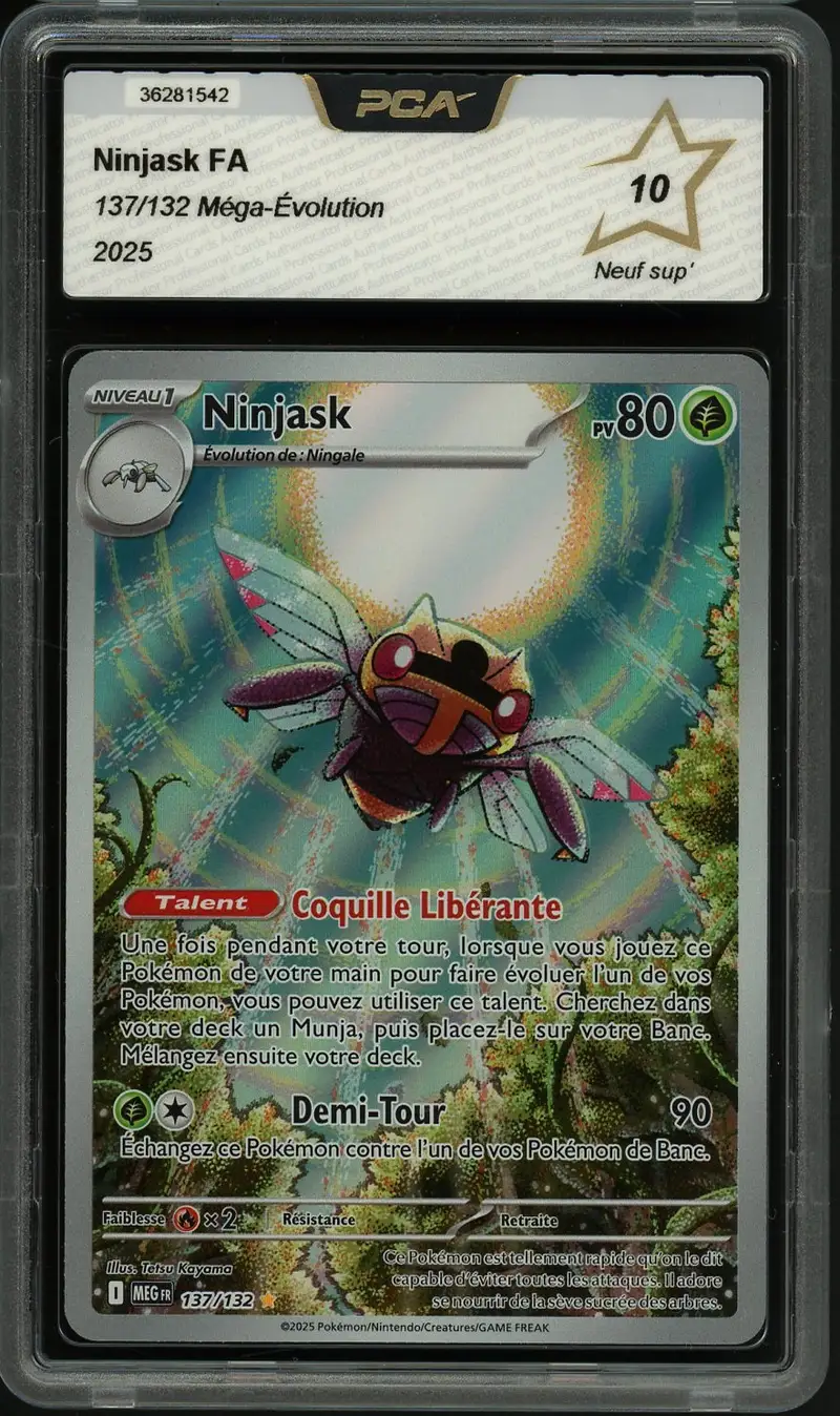 PCA 10 Ninjask