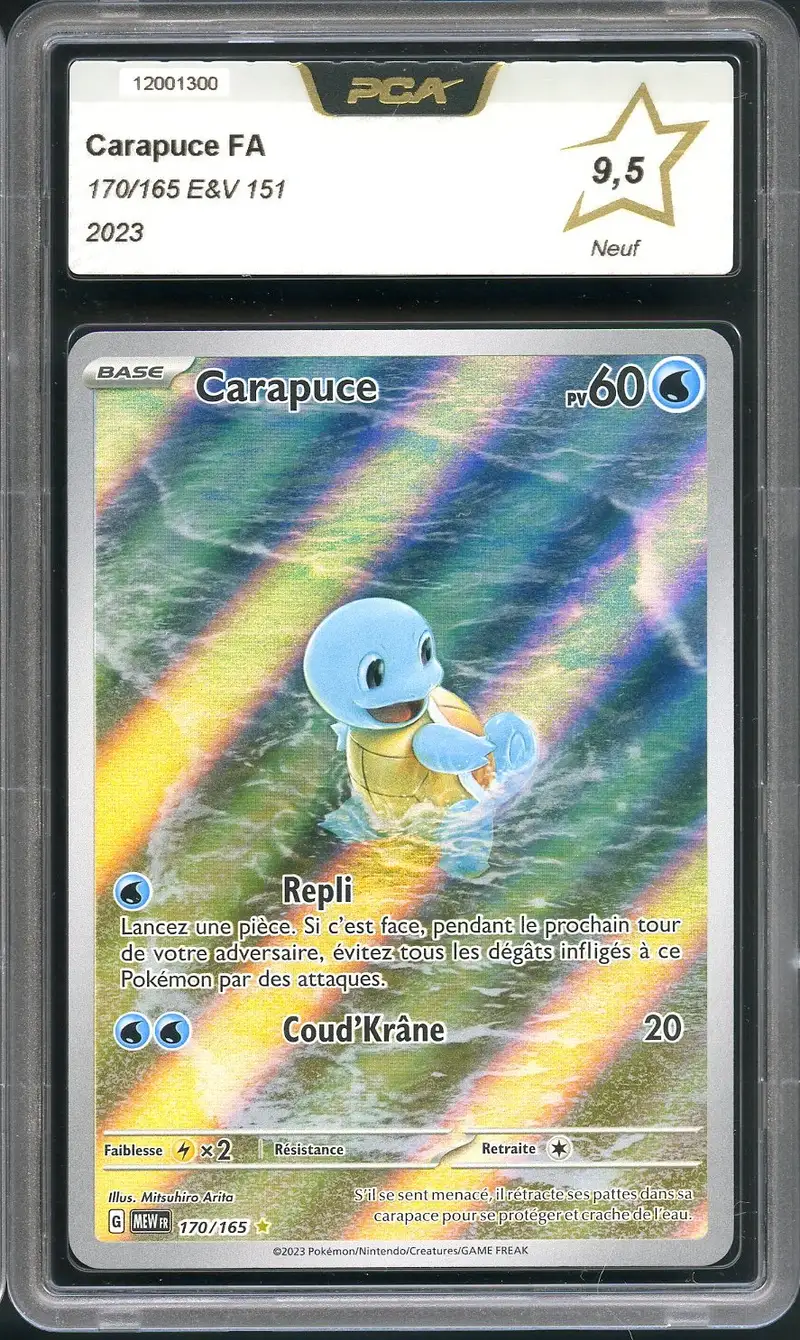 PCA 9.5 Carapuce
