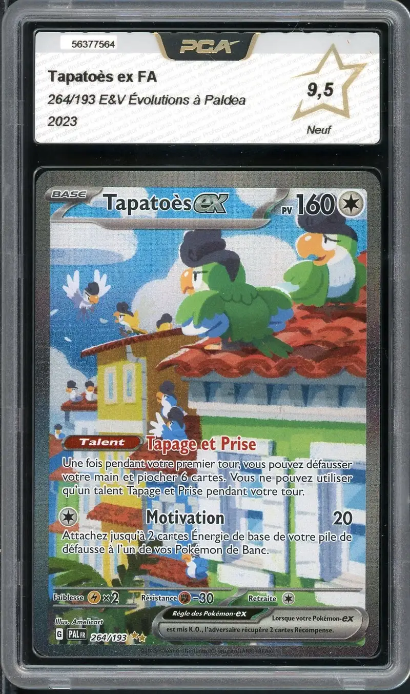 PCA 9.5 Tapatoès Ex