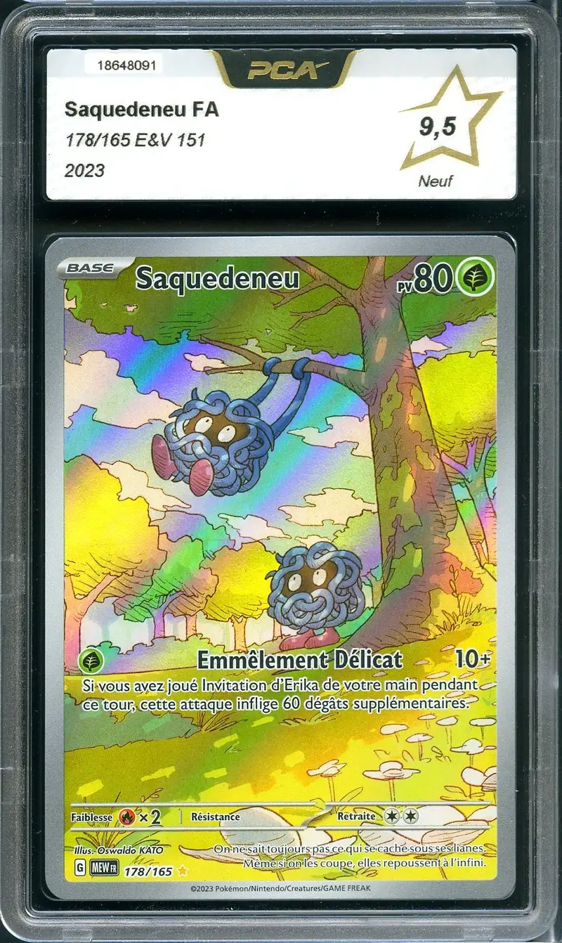 PCA 9.5 Saquedeneu