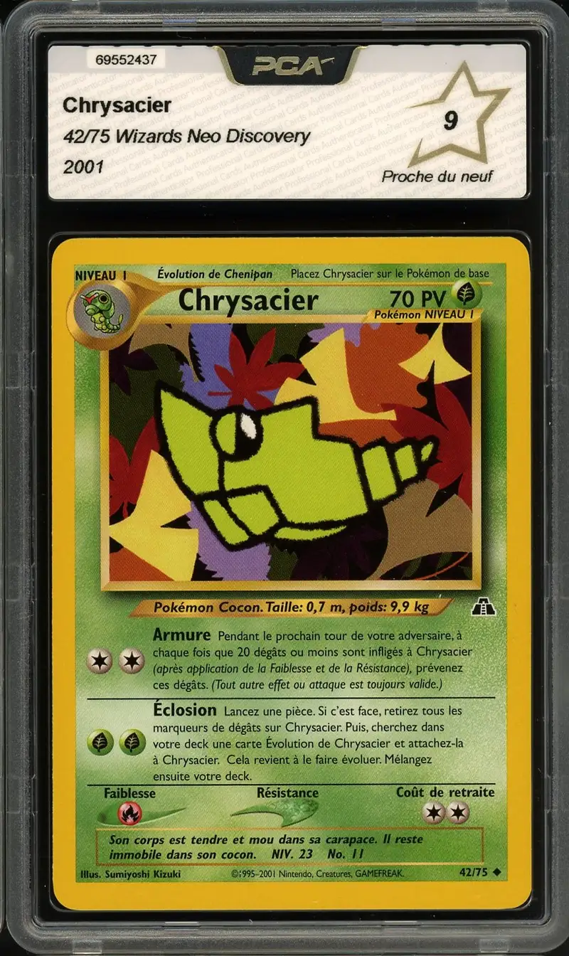 PCA 9 Chrysacier
