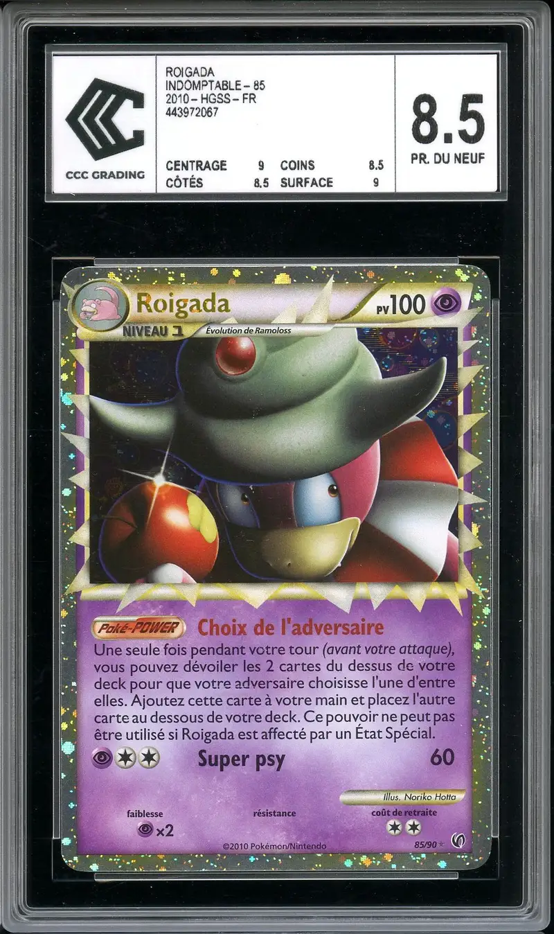 CCC 8.5 Roigada Prime