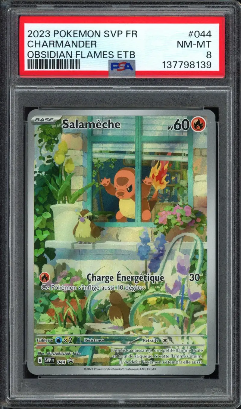 PSA 8 Salamèche