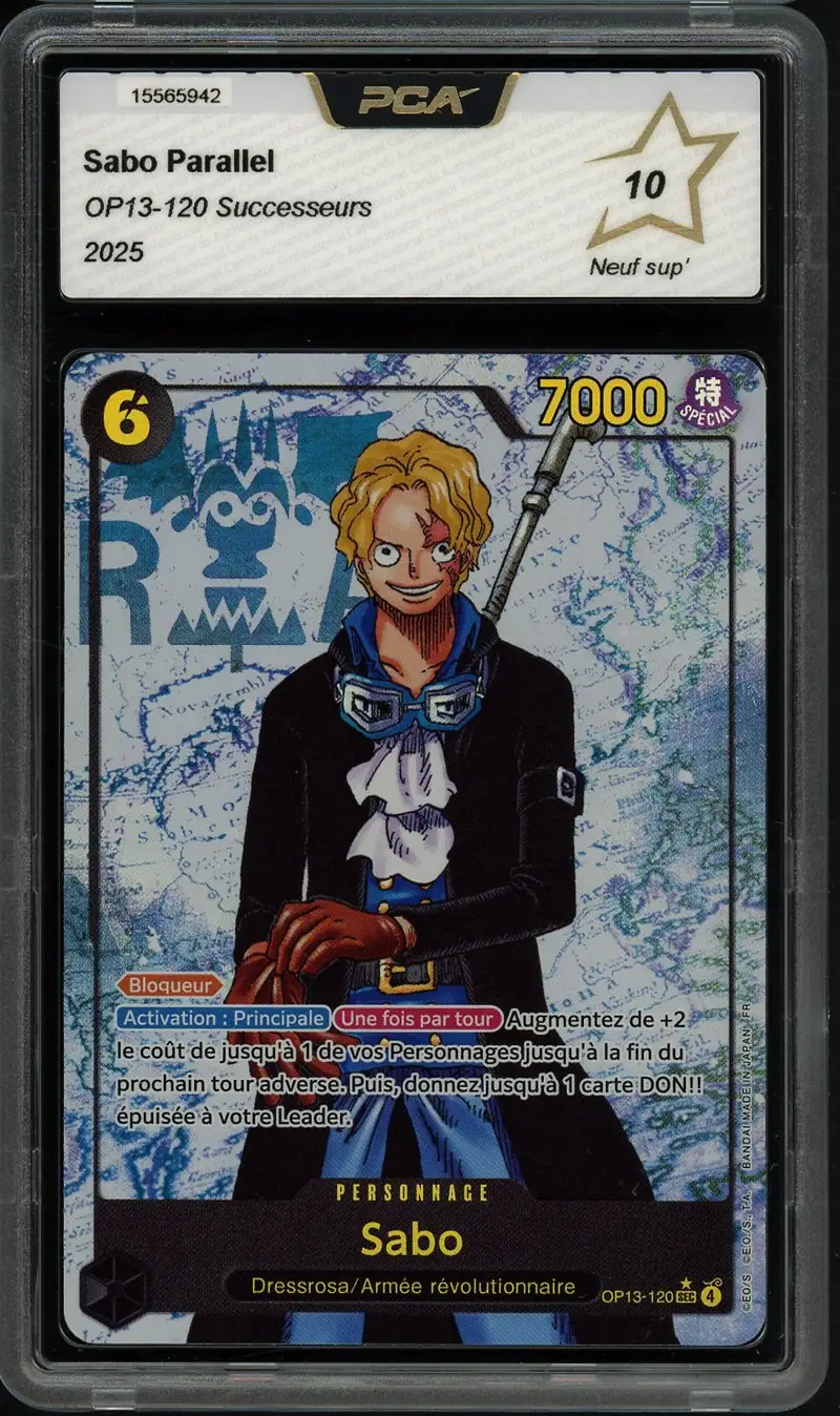 PCA 10 Sabo