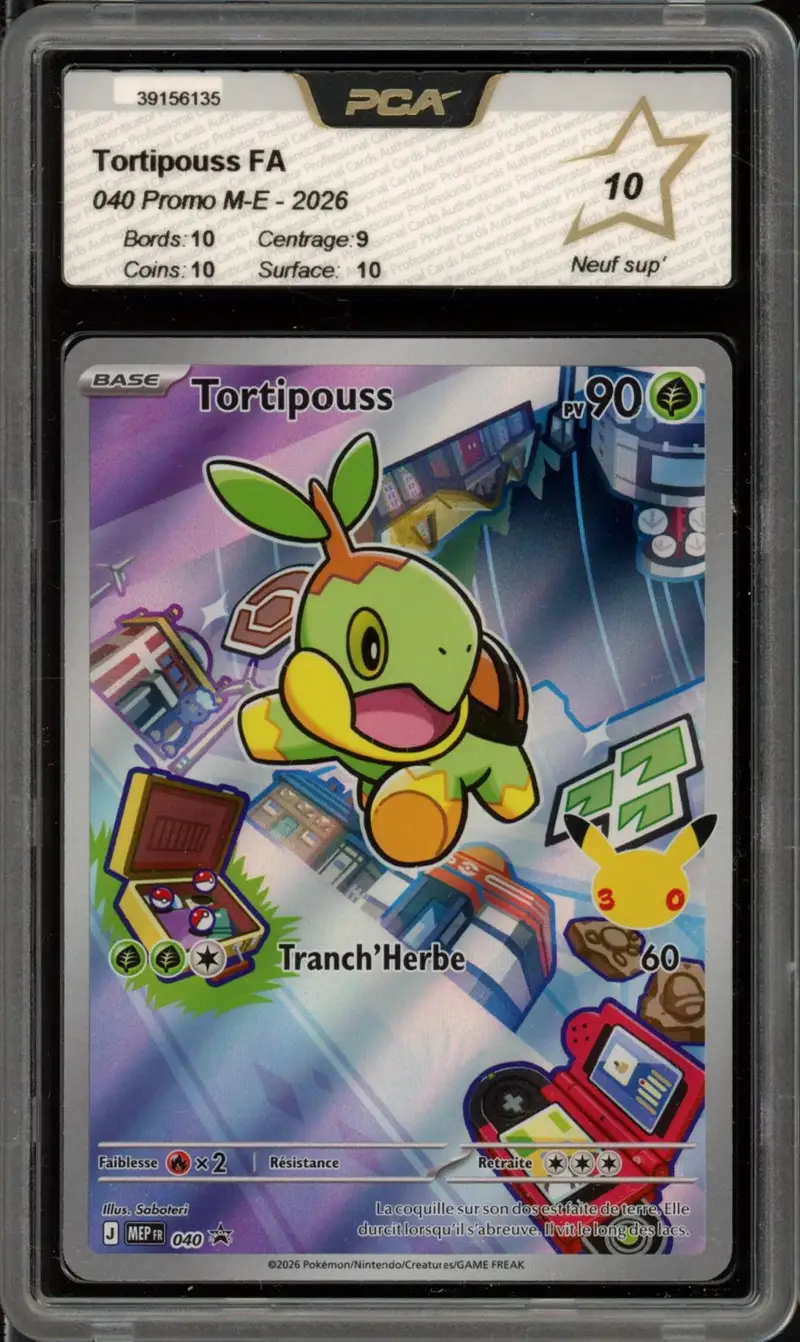 PCA 10 Tortipouss