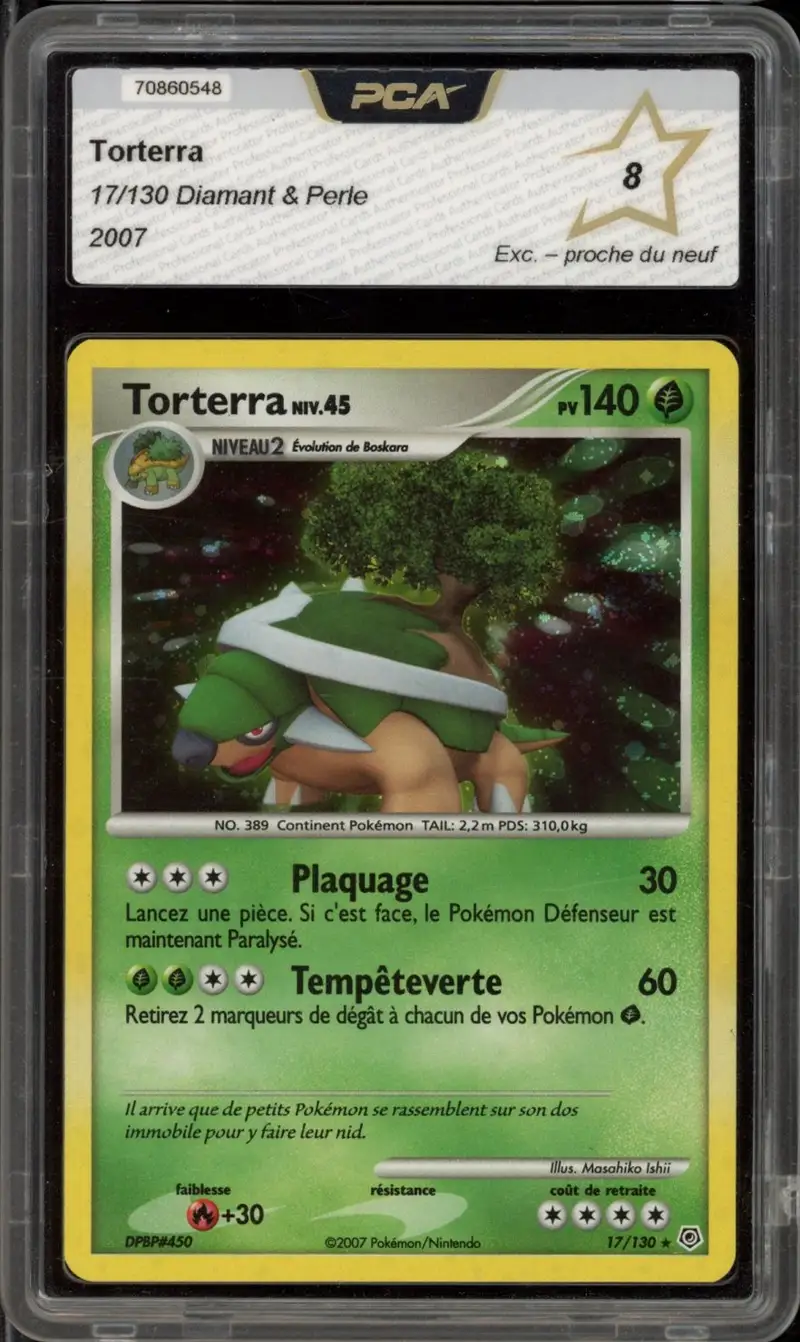 PCA 8 Torterra Holo