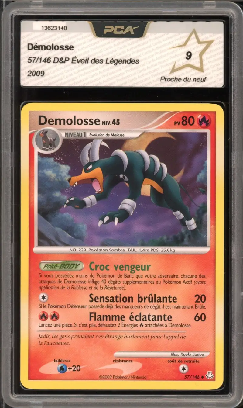 PCA 9 Démolosse