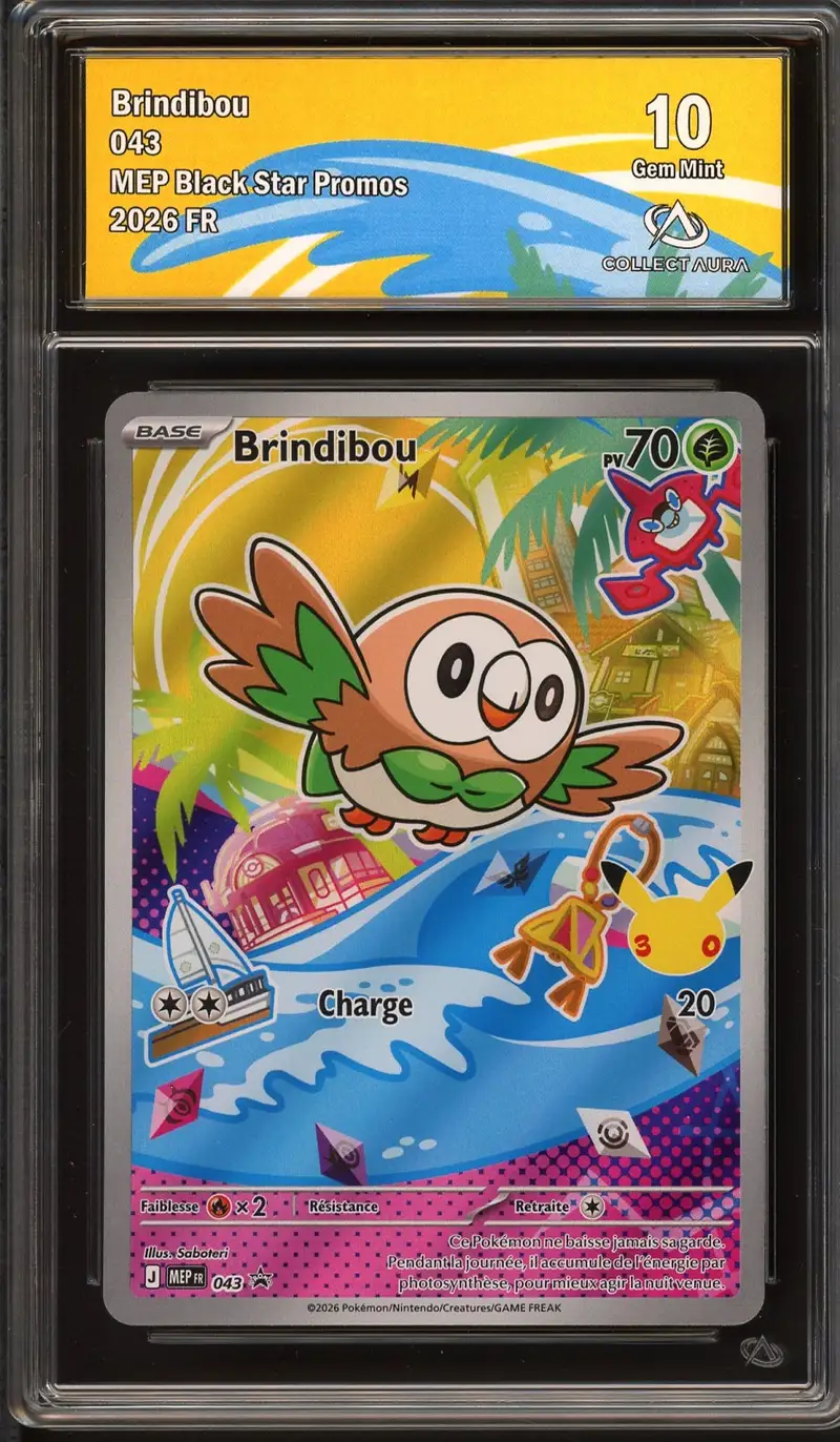 CA 10 Brindibou